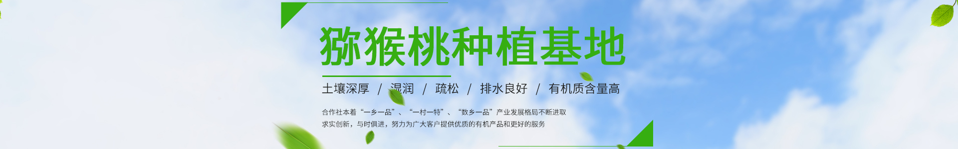 开云·体育 (中国)官方网站 - 快速注册 - KAIYUNAPP