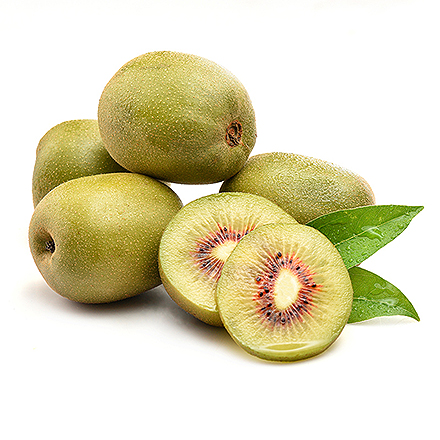 开云体育官方入口产品中心八